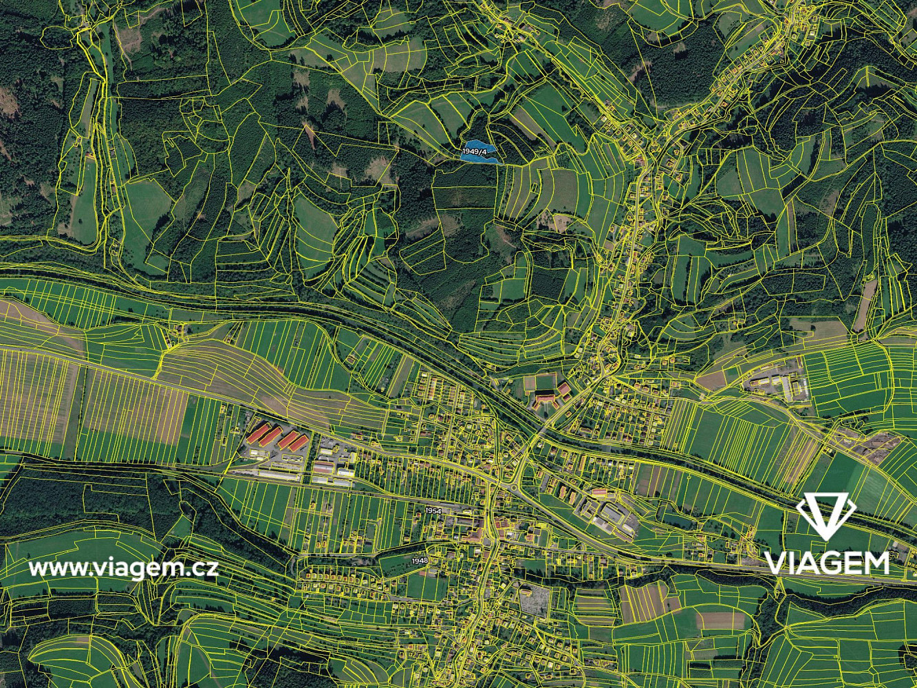 Prodej lesa 7 071 m² – fotografie 4