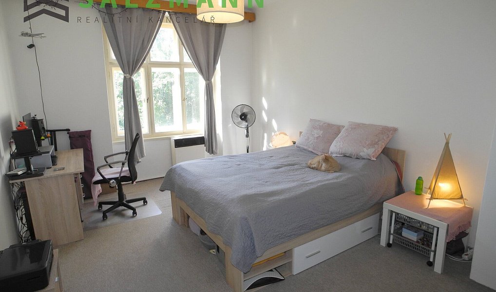 Prodej bytu 2+kk 42 m², Plzeň – náhled fotky 5