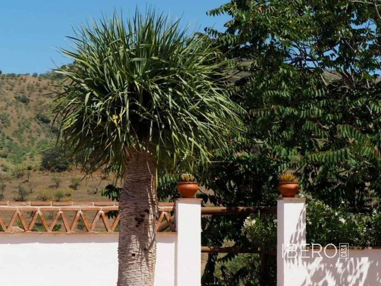 Casa 3+kk – Álora, Valle del Guadalhorce - Més