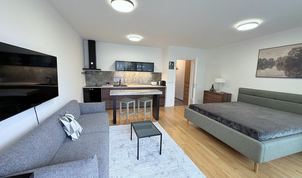 Pronájem bytu 1+kk 45 m², Praha – náhled fotky 5