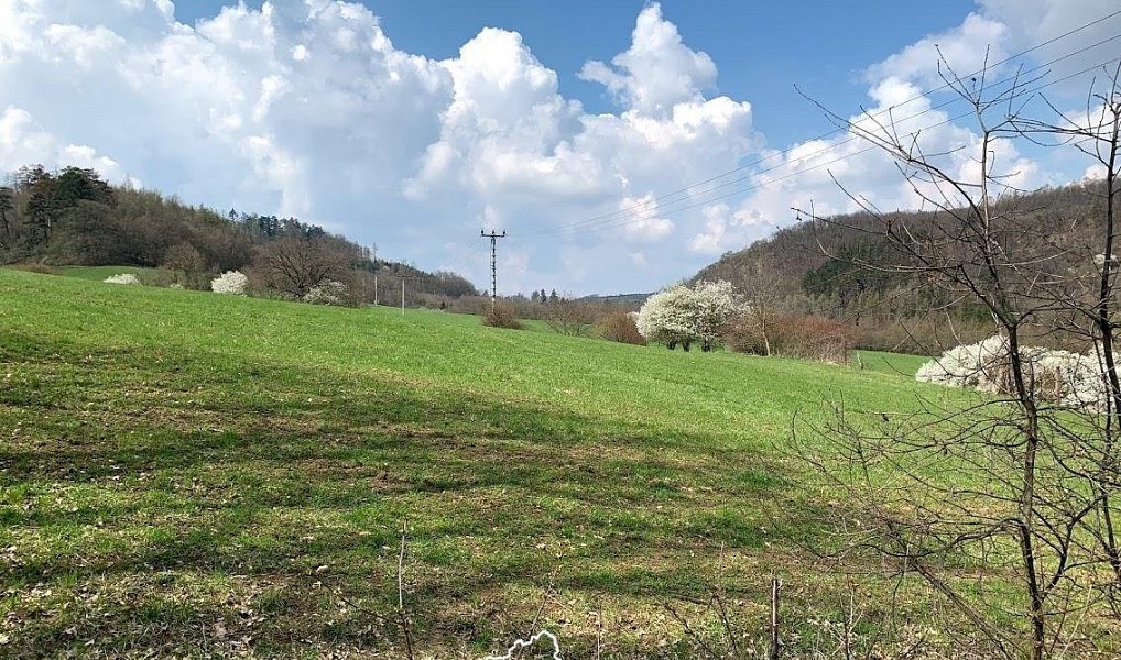 Prodej pozemku 1 151 m², Vonoklasy – náhled fotky 9