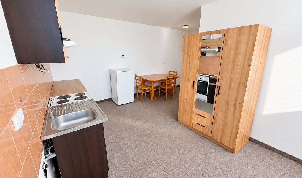Pronájem bytu 1+kk, 38 m², Horka-Domky - Třebíč, Třebíč