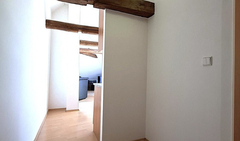Pronájem bytu 1+kk 48 m², Benešov – náhled fotky 9