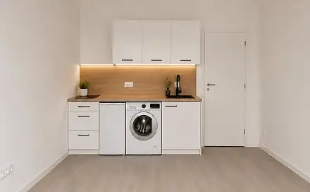 Pronájem bytu 1+kk 26 m², Svitavská, Brno