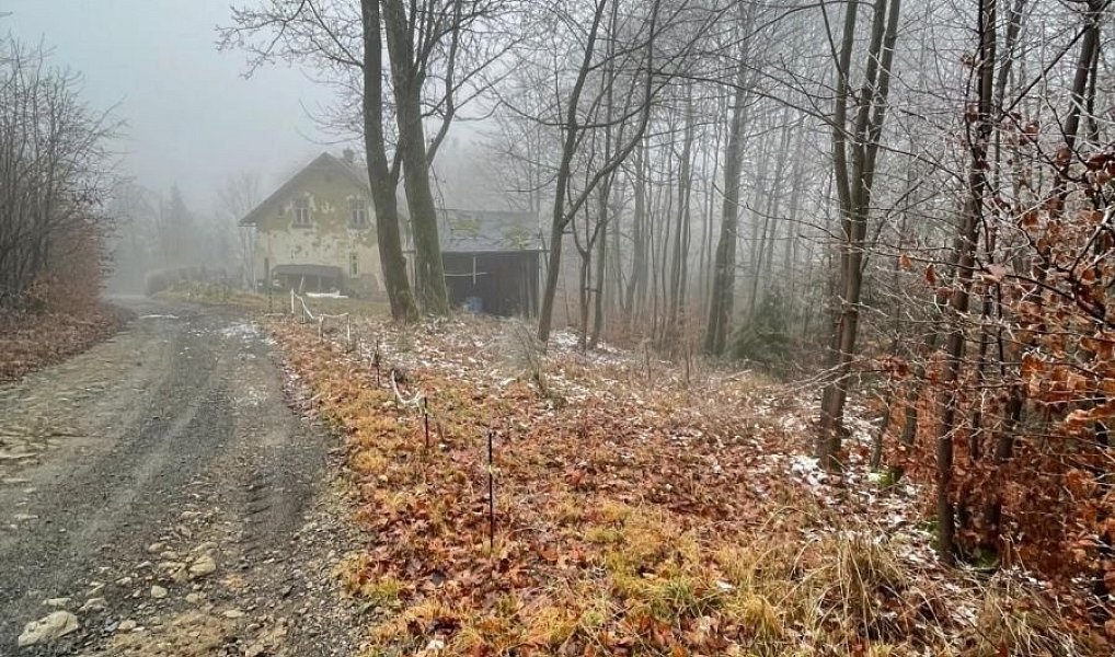 Prodej chaty/chalupy 111 m² s pozemkem 569 m², Mikulášovice – náhled fotky 20