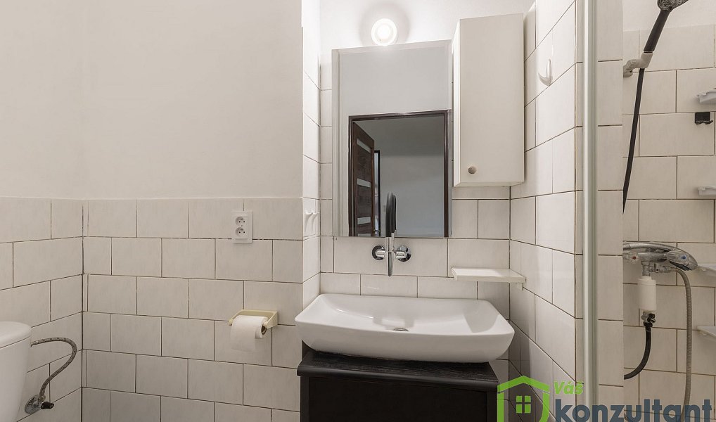 Prodej domu 220 m² s pozemkem 360 m², Bedihošť – náhled fotky 20