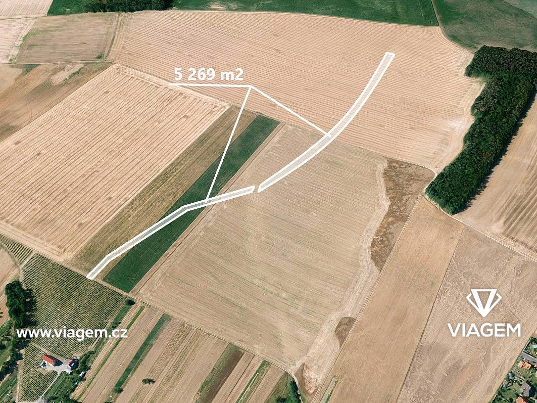 Prodej pole 1 317 m²