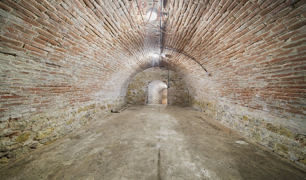 Autentický vinný sklep v srdci jižní Moravy, 153 m2, po kompletní rekonstrukci, obec Přítluky., Přítluky – náhled fotky 6