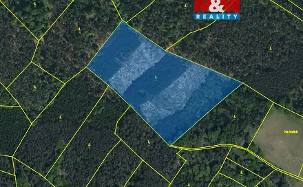 Prodej lesa 24 923 m², Jankovice - Kozašice, okres Pardubice