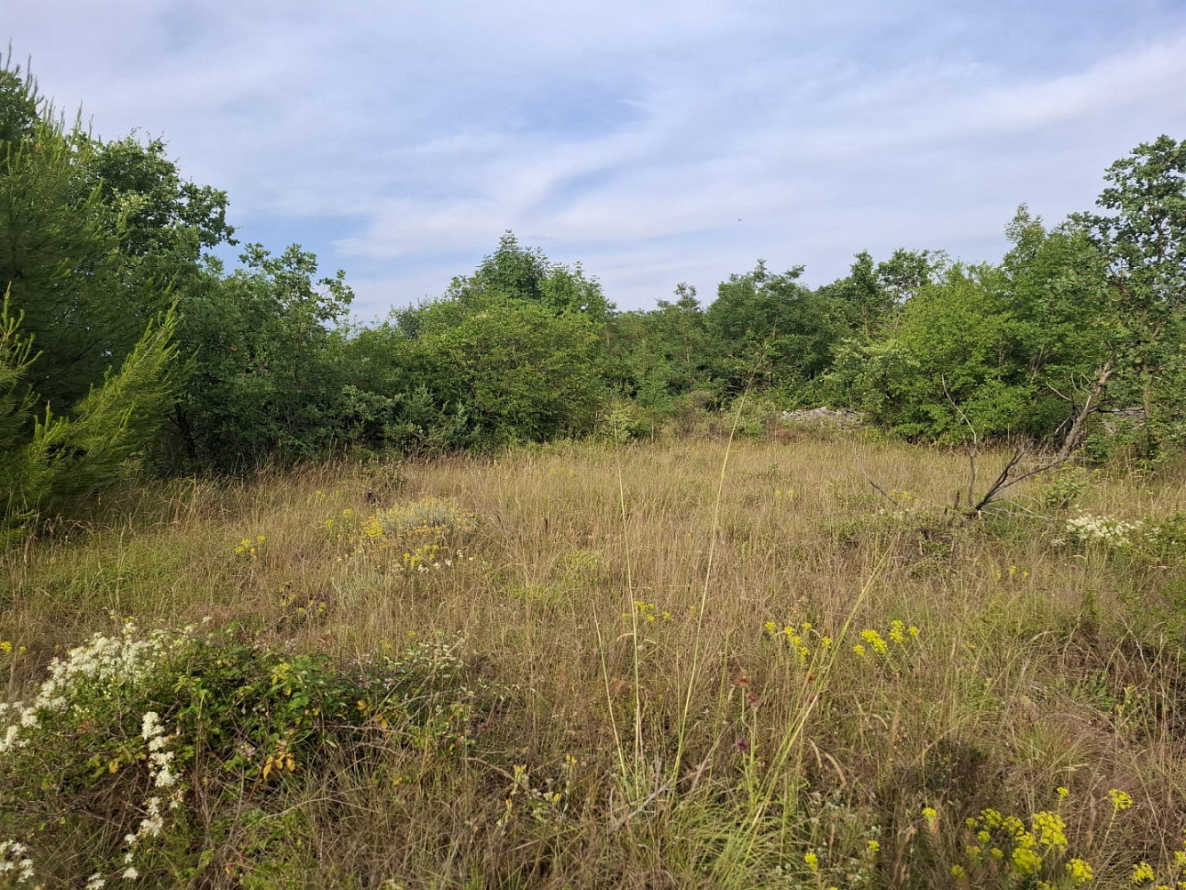 Prodej pole 29 179 m²