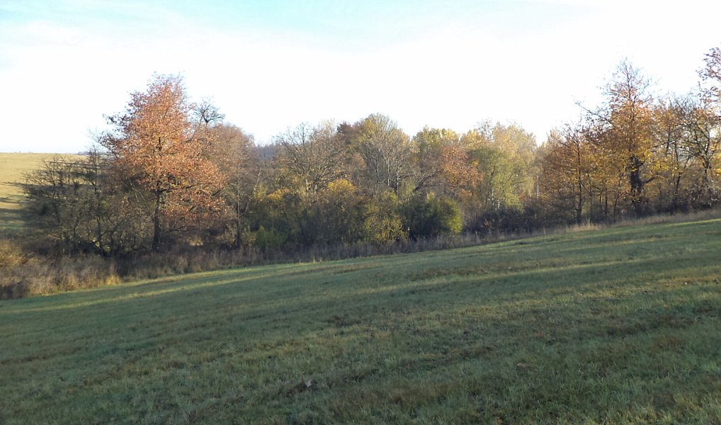 Prodej pozemku 60 778 m², Budišov nad Budišovkou – náhled fotky 5