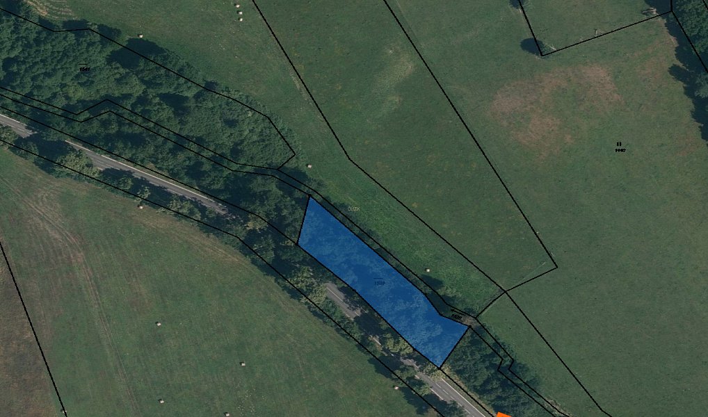 Prodej pozemku 3 841 m², Pertoltice – náhled fotky 5