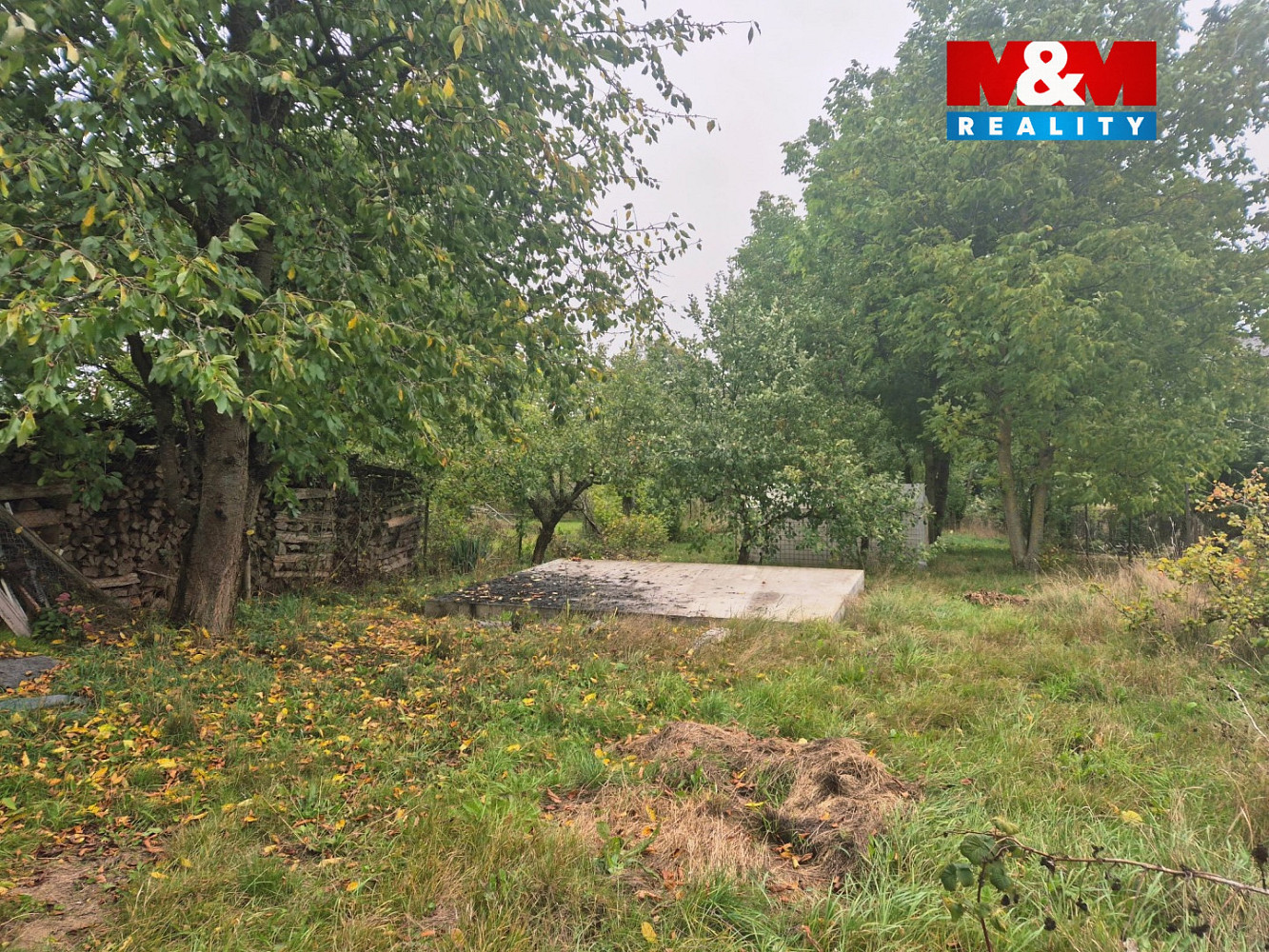 Prodej zahrady 593 m² — photo 3
