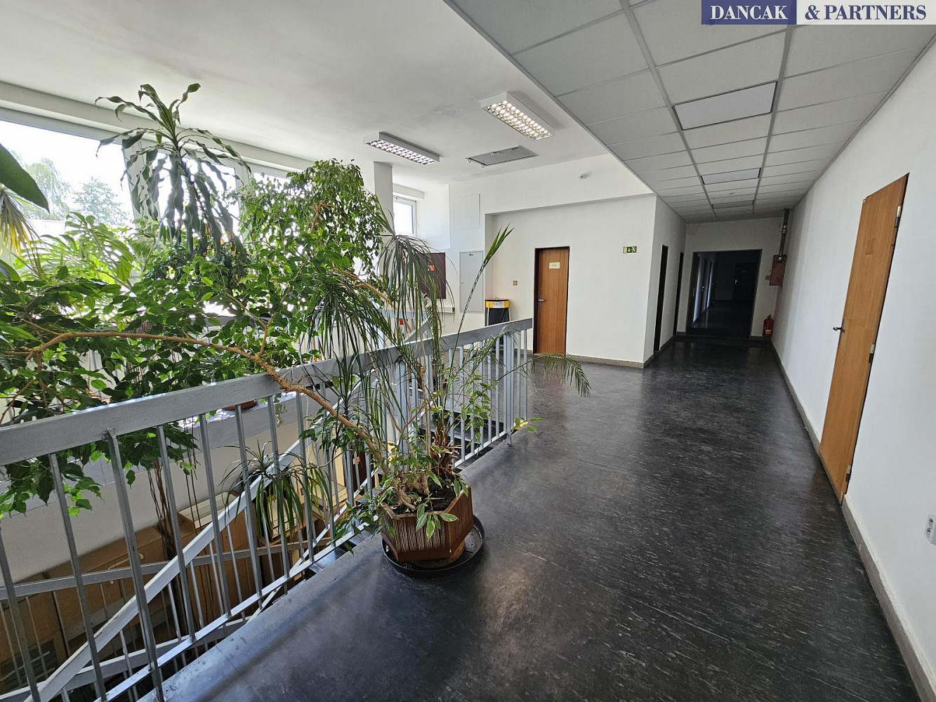 Pronájem kanceláře 74 m² – fotografie 2