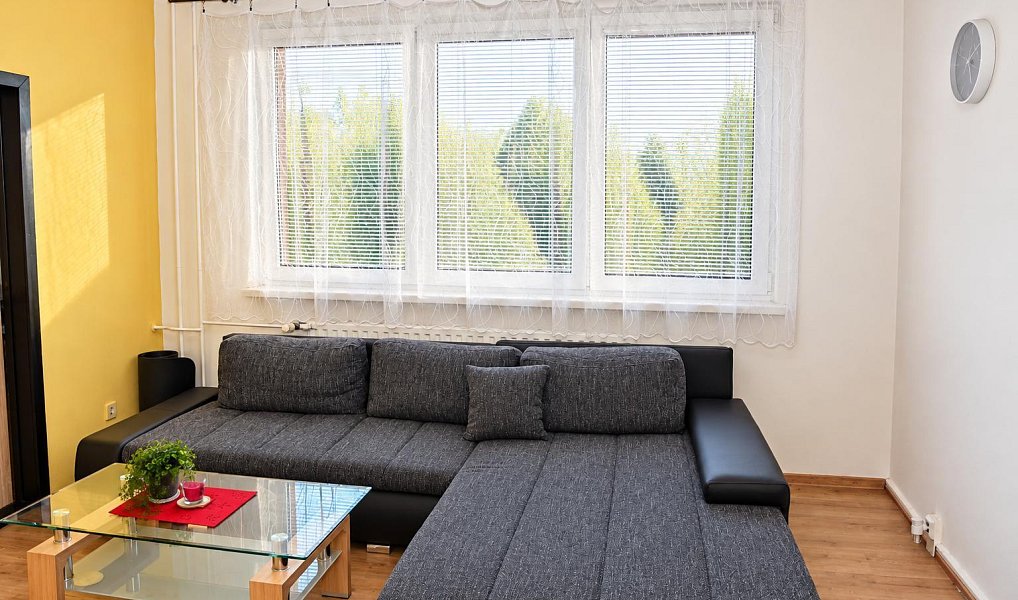 Pronájem bytu 2+1 45 m², Orlová – náhled fotky 6