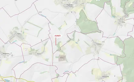 Dražba lesa 140 m², Podolí