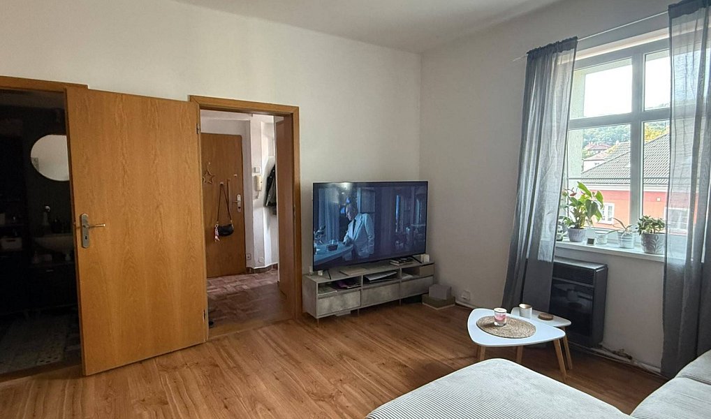 Pronájem bytu 1+1 45 m², Ústí nad Labem – náhled fotky 3