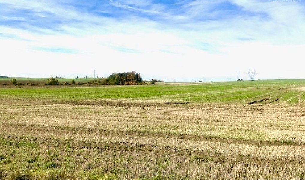 Prodej komerčního pozemku 1 354 m², Želetava – náhled fotky 2