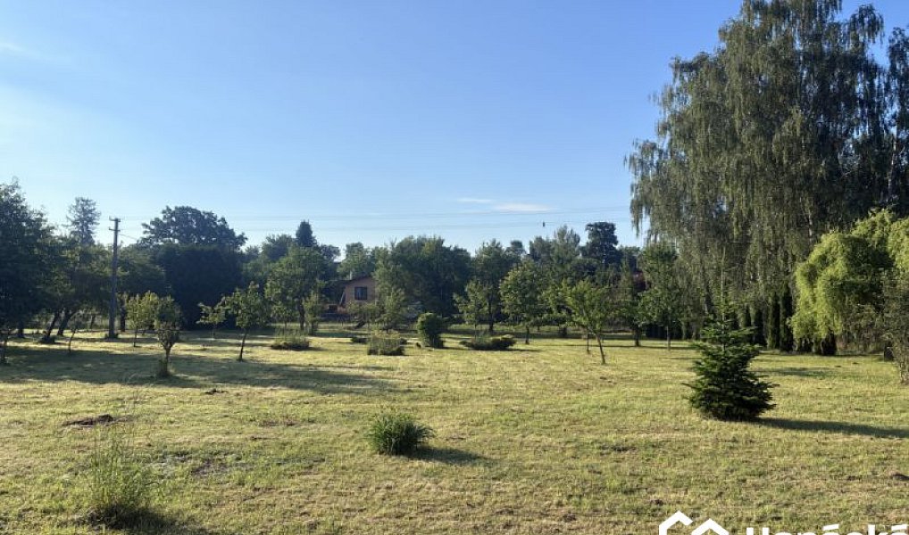 Prodej zahrady 3 994 m², Bělotín – náhled fotky 5