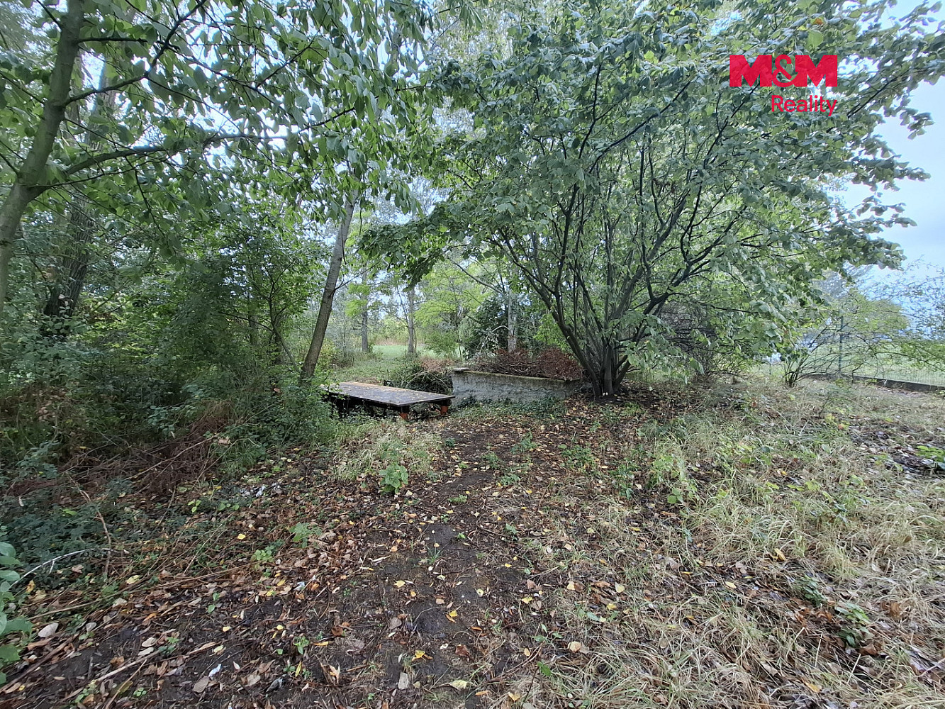 Prodej lesa 815 m² – fotografie 3