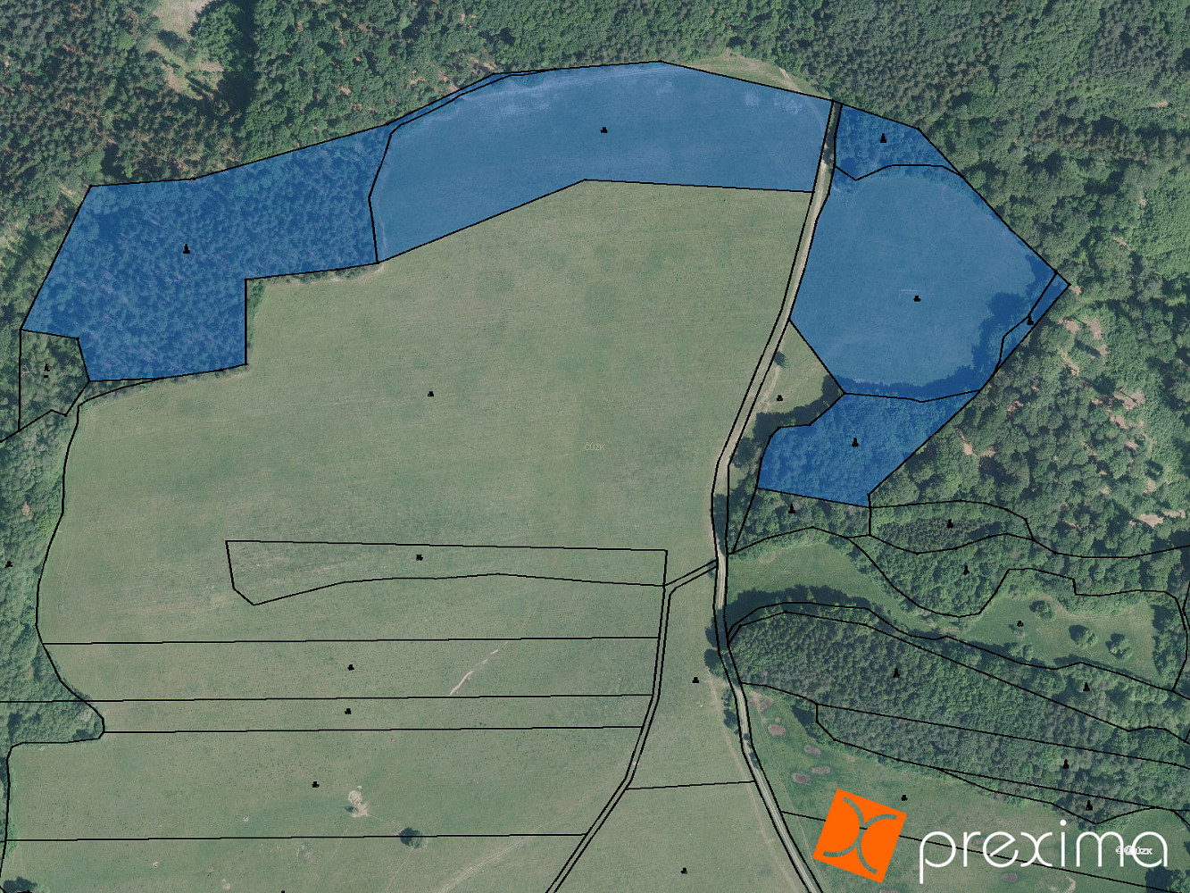 Prodej lesa 253 m²