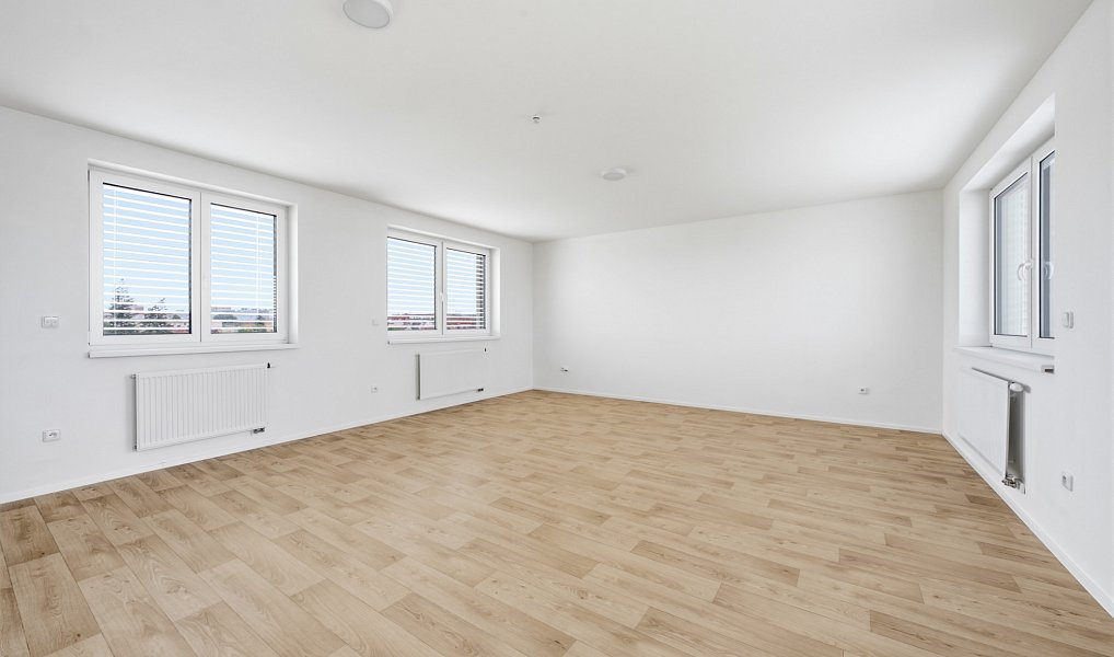 Pronájem bytu 1+1 66 m², Plzeň – náhled fotky 4