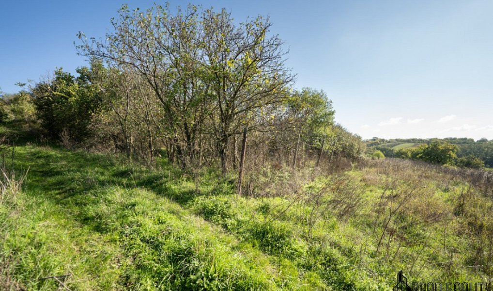 Prodej zahrady 6 601 m², Hrušovany u Brna – náhled fotky 12