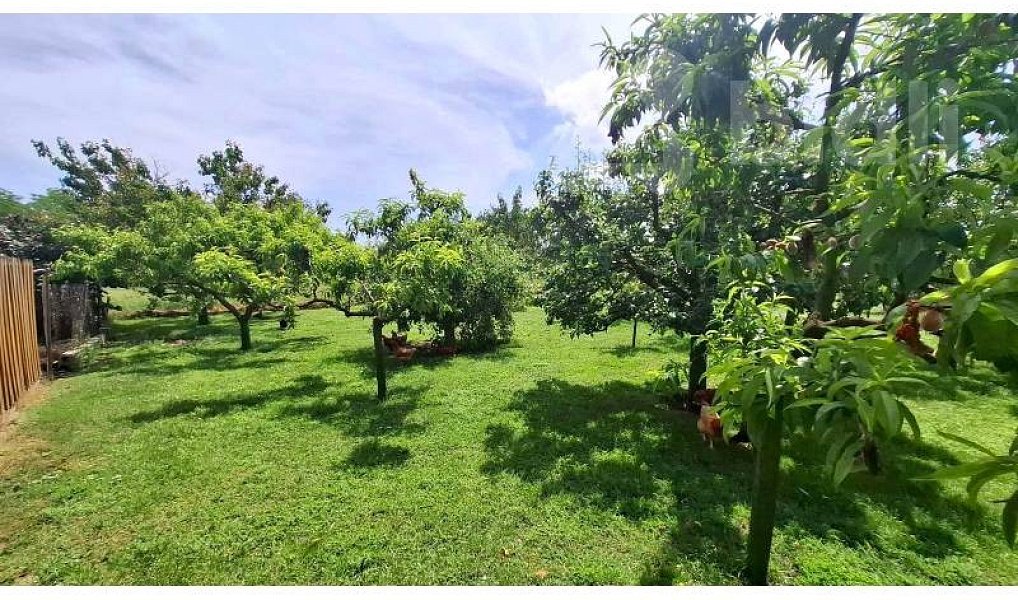 Prodej stavebního pozemku 1 313 m², Čejkovice – náhled fotky 3