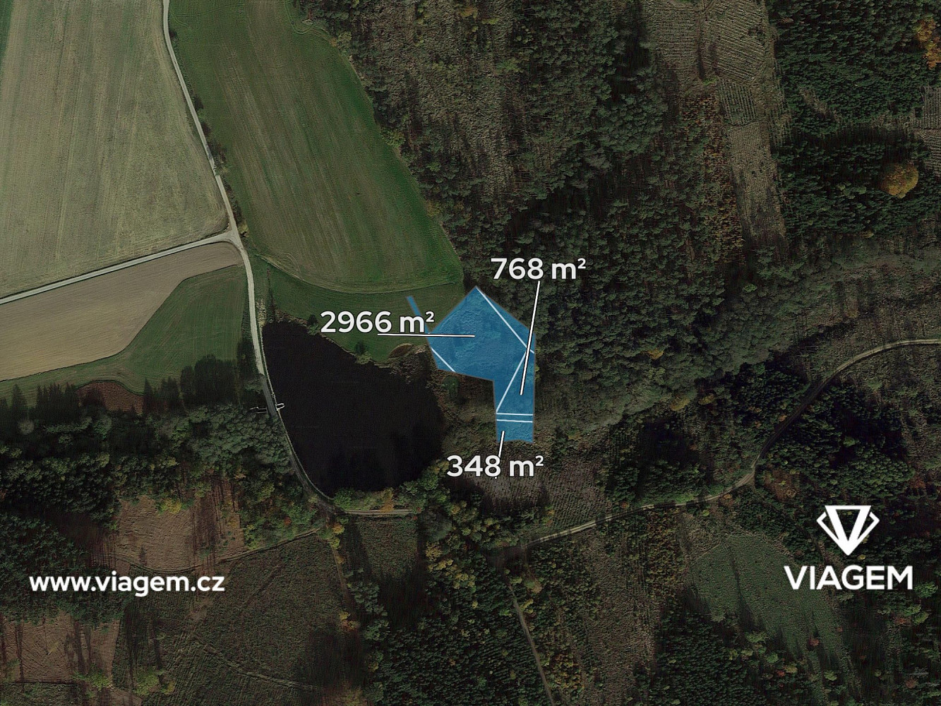 Prodej lesa 4 700 m² – fotografie 2