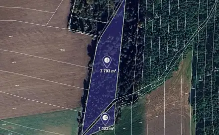 Prodej lesa 8 915 m², Blížejov, okres Domažlice