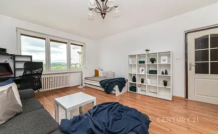 Prodej bytu 1+1 39 m², Hornická, Český Těšín, okres Karviná