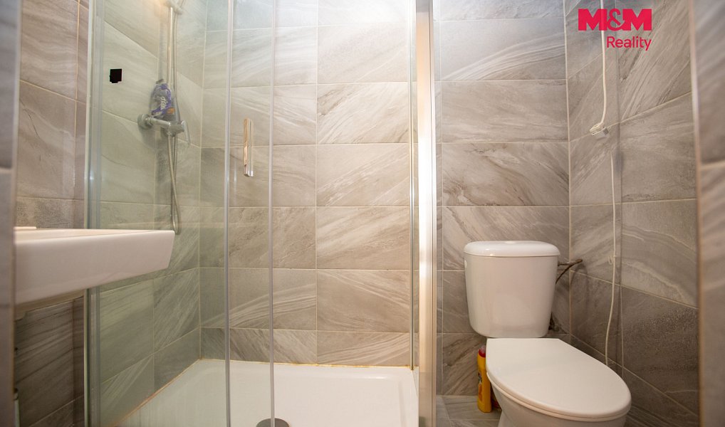 Prodej domu 190 m² s pozemkem 424 m², Veselí nad Lužnicí – náhled fotky 8