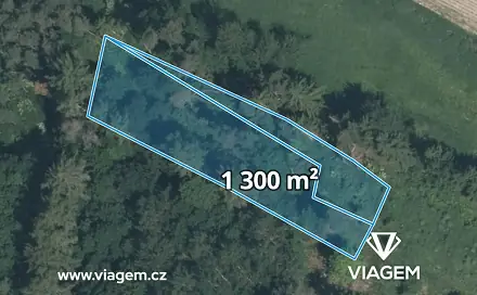 Prodej lesa 1 300 m², Sepekov, okres Písek