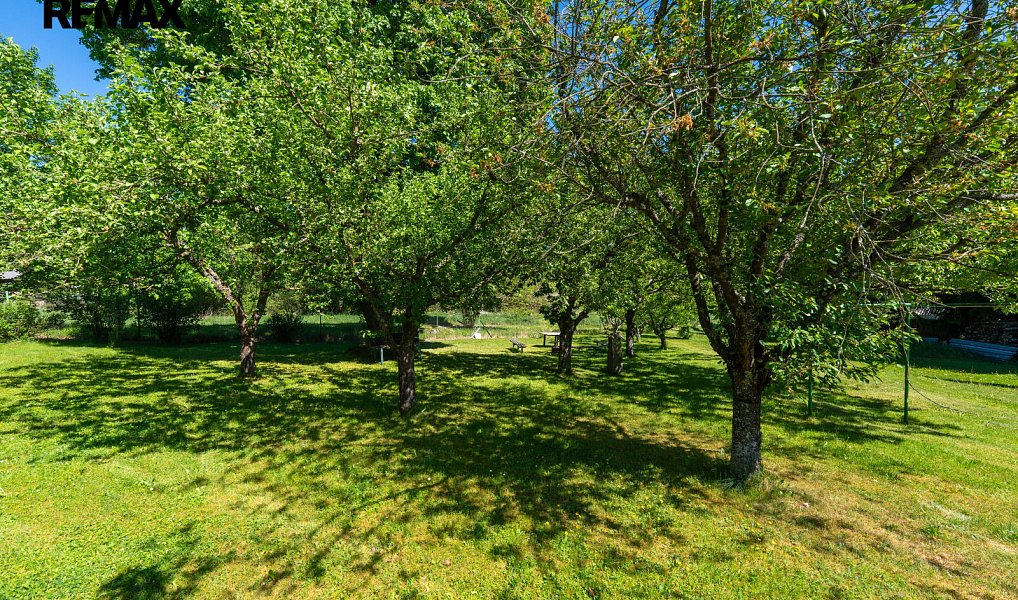 Prodej stavebního pozemku 1 408 m², Horní Planá – náhled fotky 5