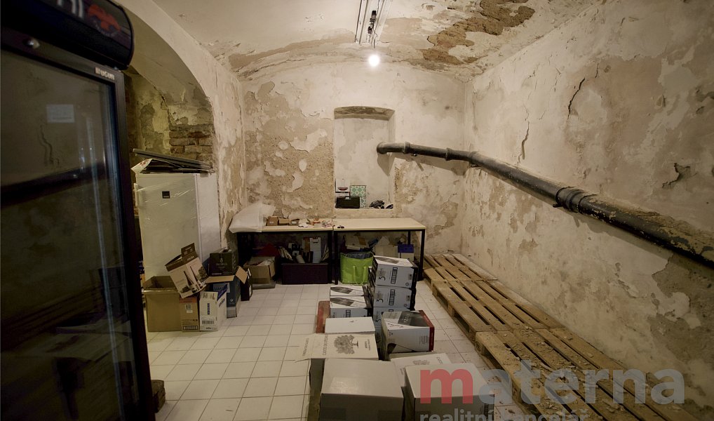 Pronájem obchodních prostor 121 m², Praha – náhled fotky 13