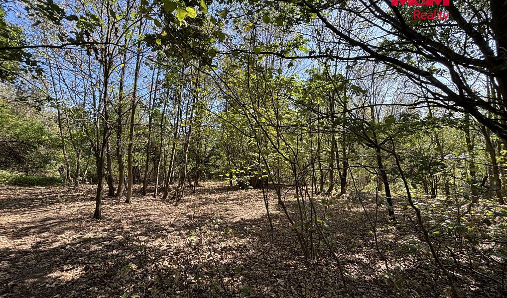 Prodej stavebního pozemku 6 184 m², Dubí – náhled fotky 5