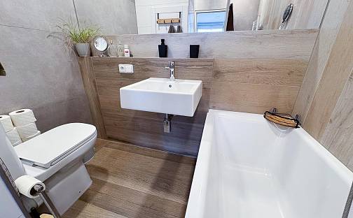 Prodej bytu 1+1 41 m², Bratislavská, Teplice - Řetenice