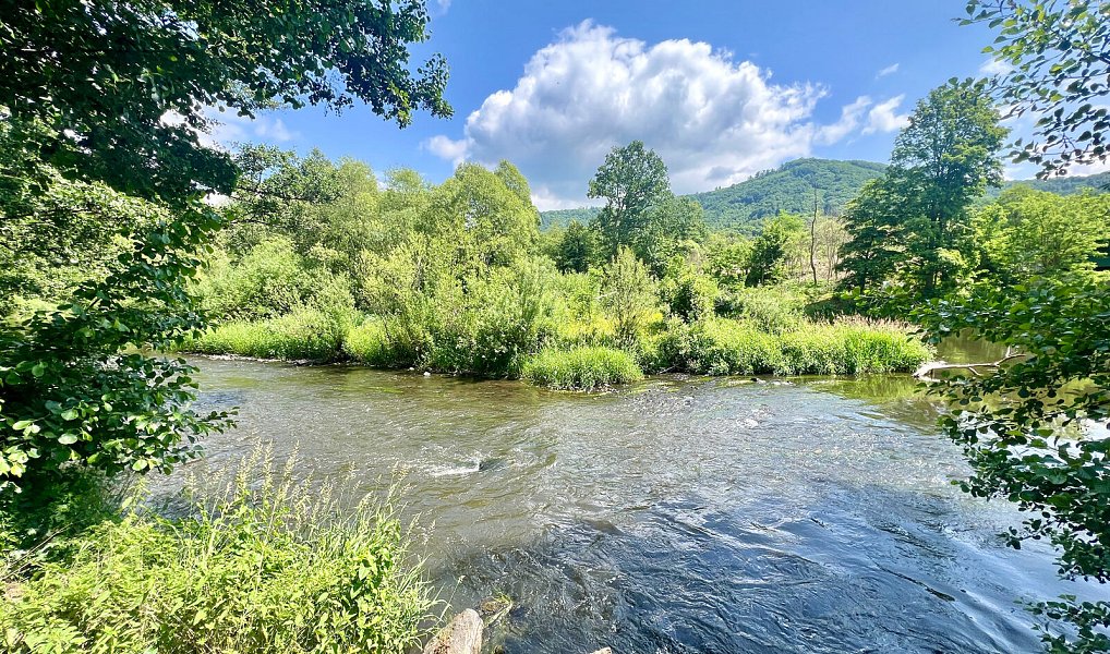 Prodej chaty/chalupy 35 m² s pozemkem 239 m², Krásný Les – náhled fotky 2