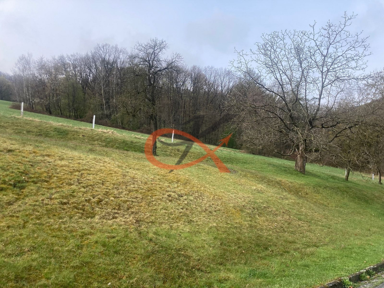 Prodej stavebního pozemku 9 208 m² – fotografie 4