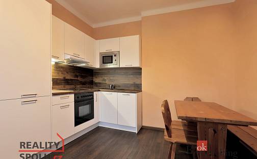Prodej bytu 1+1 39 m², Borová, Karlovy Vary - Rybáře