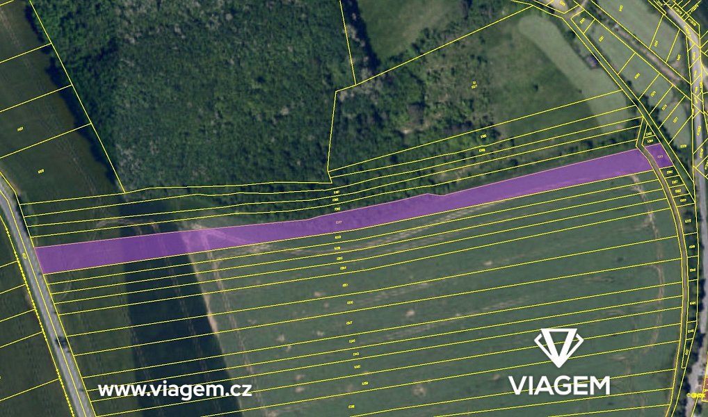 Prodej pole 7 203 m², Žarošice – náhled fotky 4