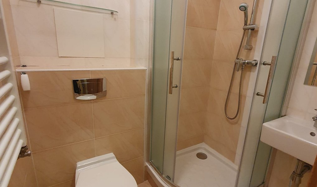 Pronájem bytu 1+kk 20 m², Všemina – náhled fotky 11