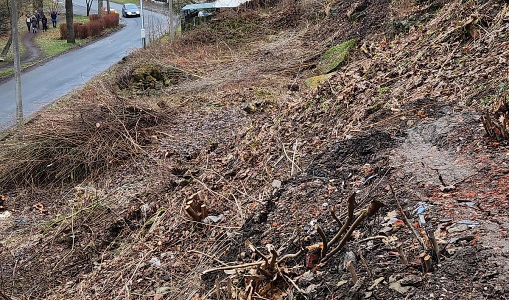 Prodej stavebního pozemku 1 155 m², Česká Třebová – náhled fotky 15