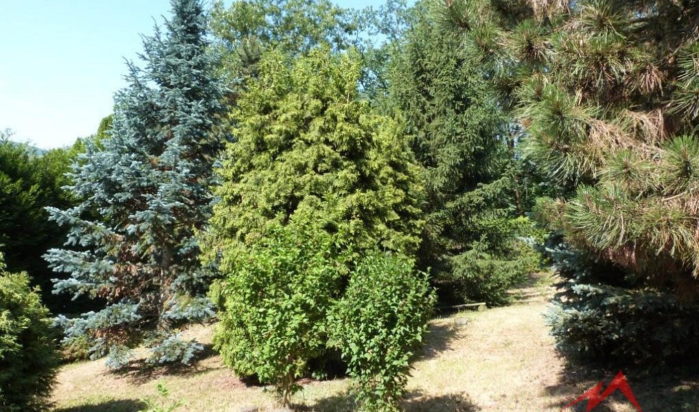Prodej chaty/chalupy 50 m² s pozemkem 1 362 m², Ústí nad Labem – náhled fotky 4