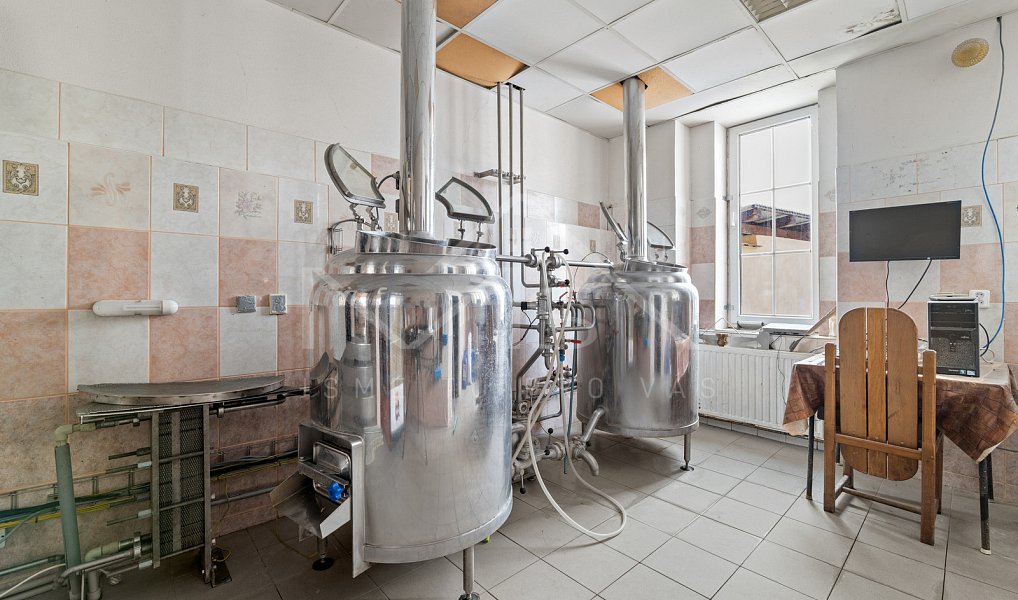 Prodej komerčního objektu (jiného typu) 718 m², Chudenice – náhled fotky 8