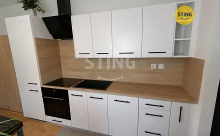 Prodej bytu 2+kk 38 m², Hany Kvapilové, Ostrava - Mariánské Hory