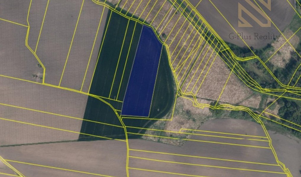 Prodej pole 7 211 m², Vrbice – náhled fotky 5