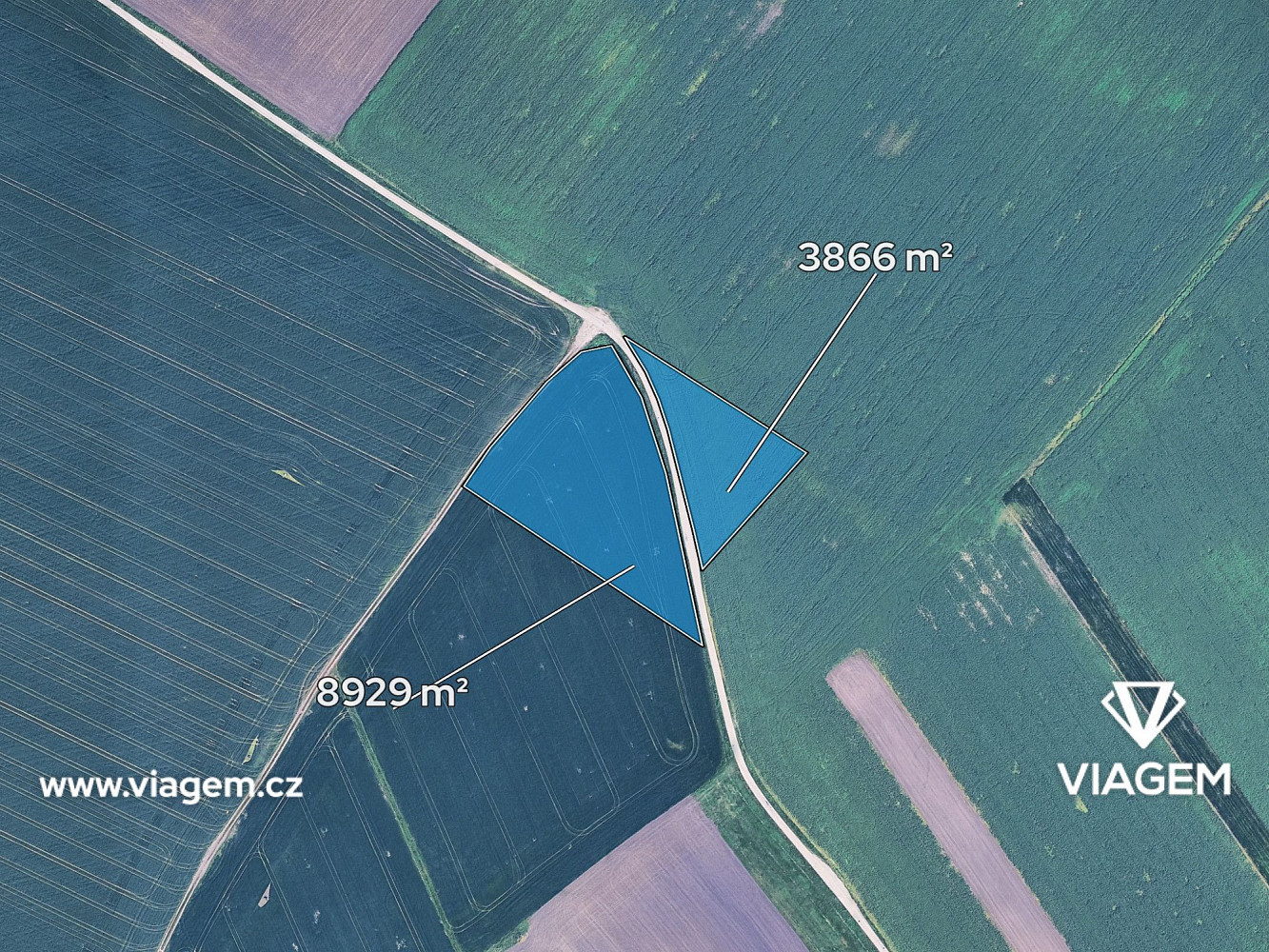 Prodej pole 2 132 m² – fotografie 2