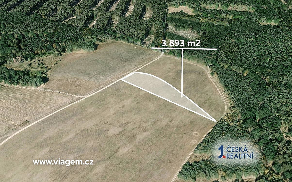 Pole 3 893 m², Podíl 33 % o výměře 1 298 m² – pohled 2