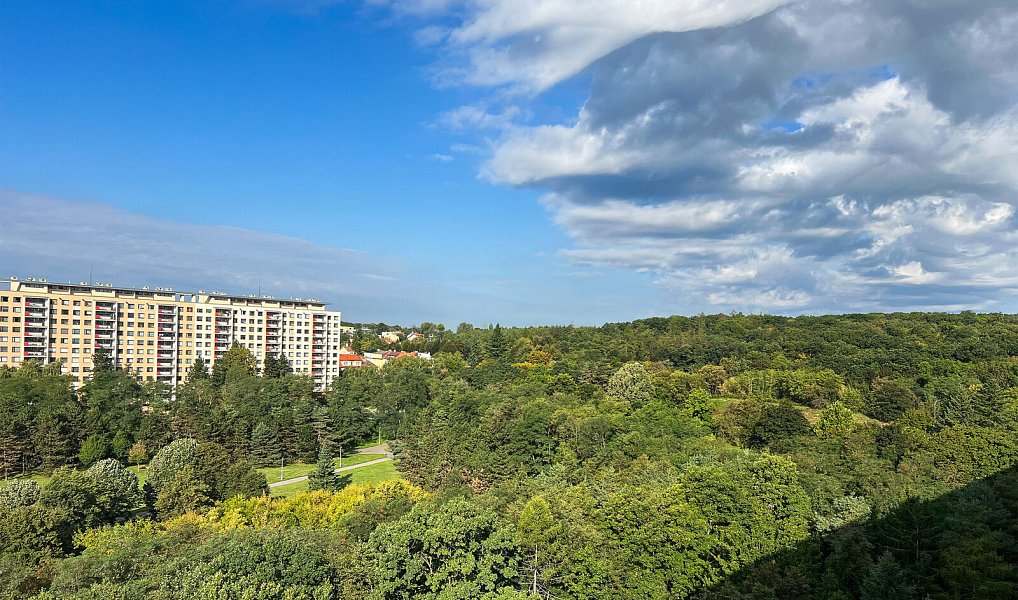 Pronájem bytu 2+kk 46 m², Praha – náhled fotky 18
